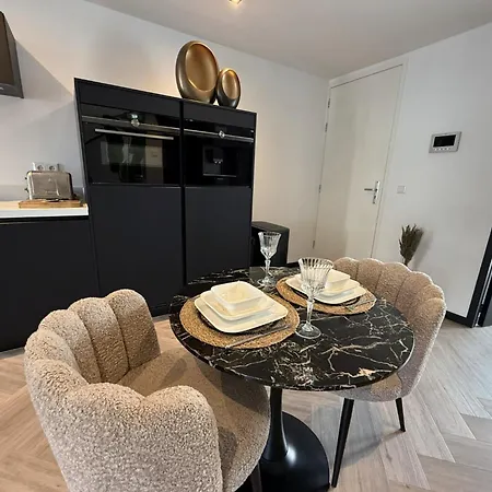 Spacious 2Br Penthouse Duplex With Private Rooftop Terrace Near Amsterdam Museums * アムステルダム