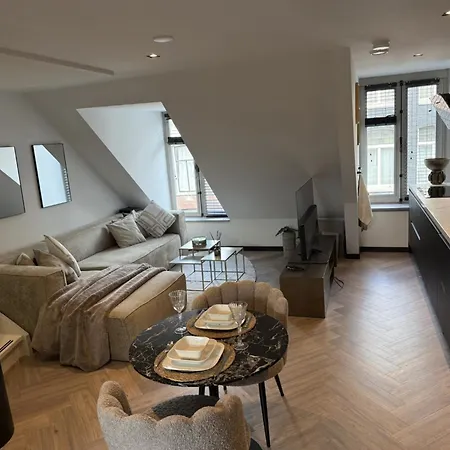 Spacious 2Br Penthouse Duplex With Private Rooftop Terrace Near Amsterdam Museums أمستردام
