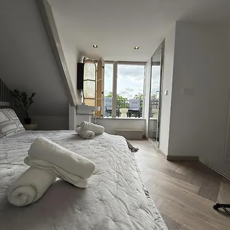 Spacious 2Br Penthouse Duplex With Private Rooftop Terrace Near Amsterdam Museums *