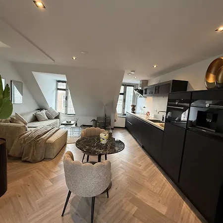 Spacious 2Br Penthouse Duplex With Private Rooftop Terrace Near Amsterdam Museums أمستردام