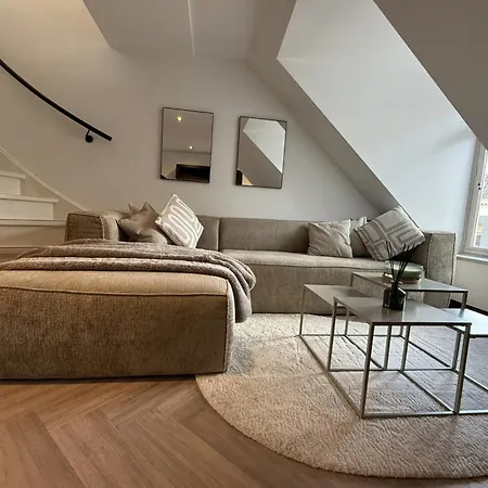Spacious 2Br Penthouse Duplex With Private Rooftop Terrace Near Amsterdam Museums