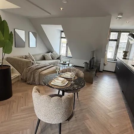 Spacious 2Br Penthouse Duplex With Private Rooftop Terrace Near Amsterdam Museums Appartement